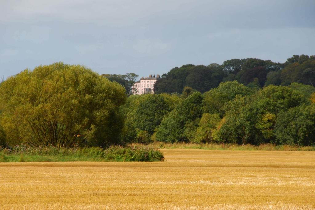 Longueville House Hotel มาลโลว์ ภายนอก รูปภาพ